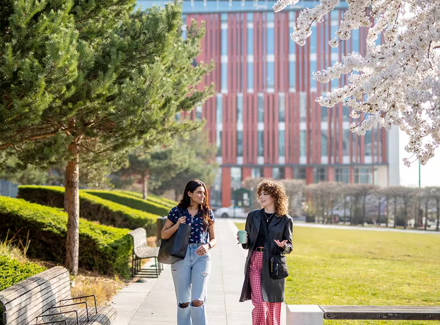 关于在英国留学你需要知道的、没人告诉过你的事情