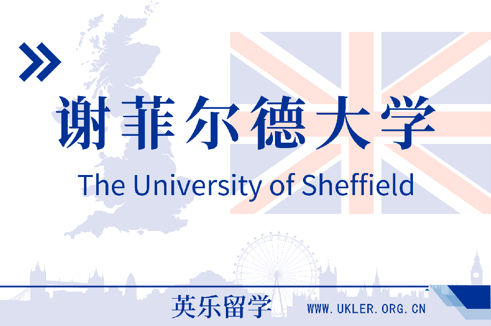 2024年申请英国谢菲尔德大学offer案例分享