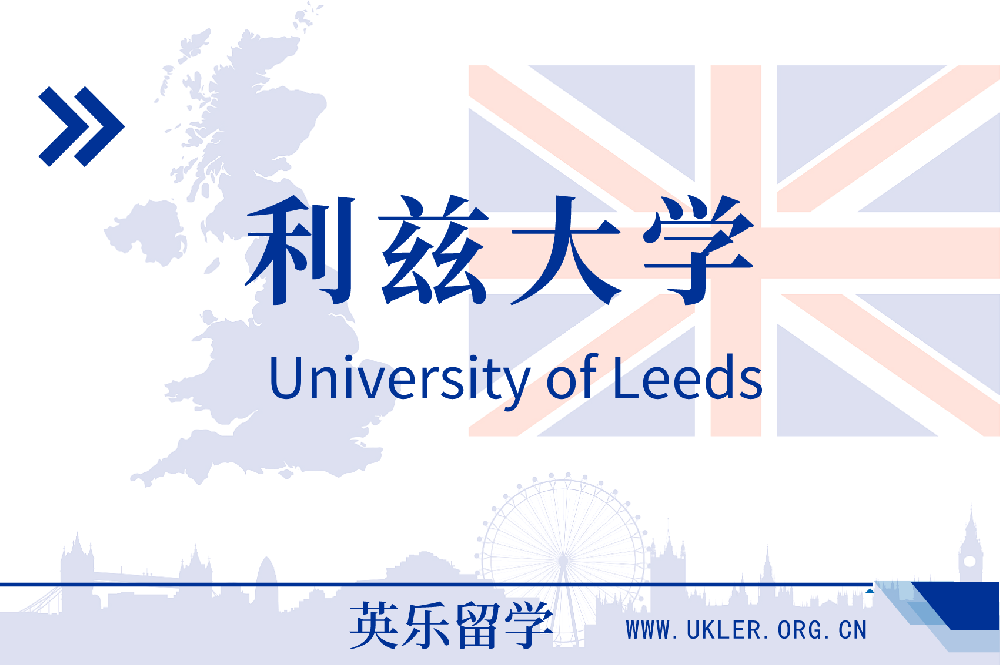 2024年利兹大学录取案例